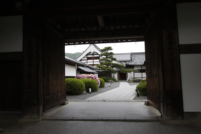 新緑の嵯峨野巡り －大覚寺（前編）－_b0169330_1259141.jpg