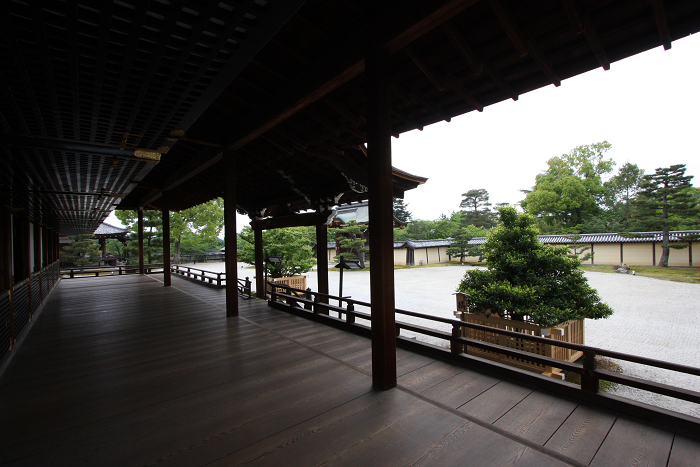 新緑の嵯峨野巡り －大覚寺（前編）－_b0169330_12593292.jpg