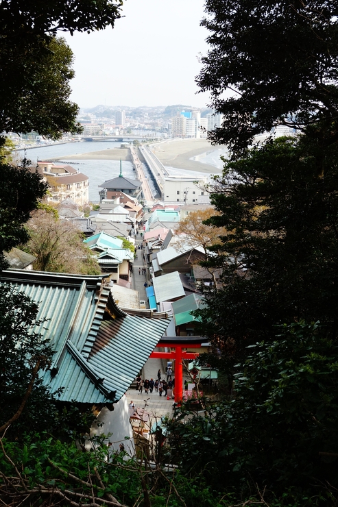 江ノ島からぶらぶら その3～江ノ島本島へその2_a0287336_2041222.jpg