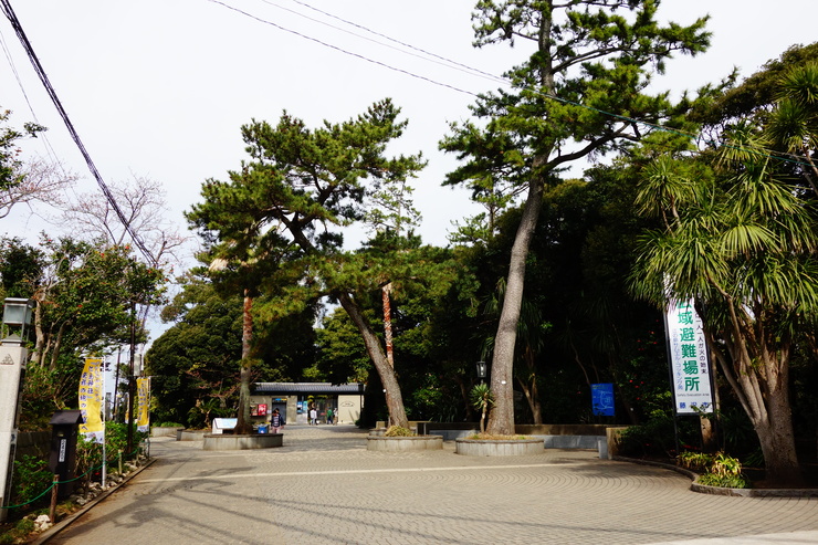 江ノ島からぶらぶら その3～江ノ島本島へその2_a0287336_20484085.jpg