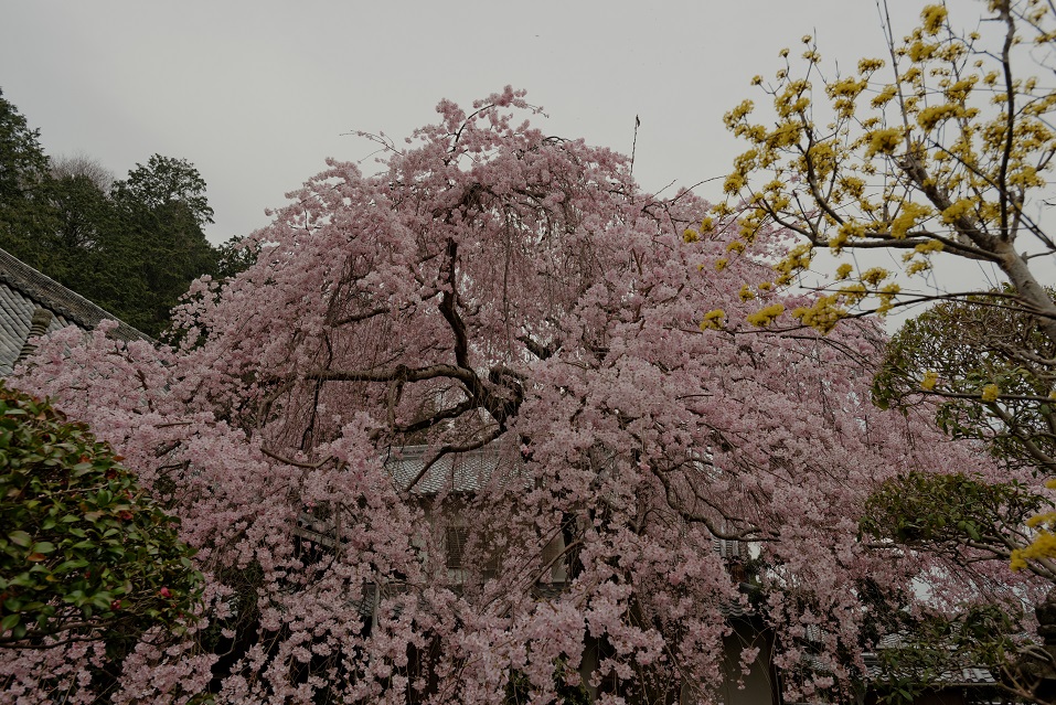 f0274536_1273128.jpg