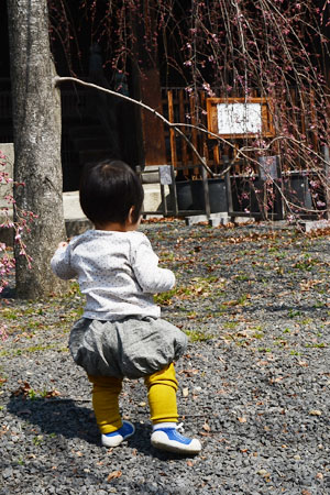 はるやすみ。_d0227246_21172761.jpg