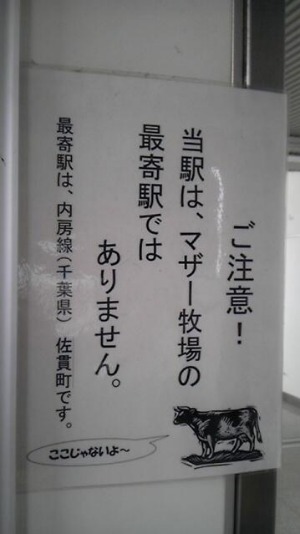 間違えても戻るわけ行かないでしょうが Blog Of Y S