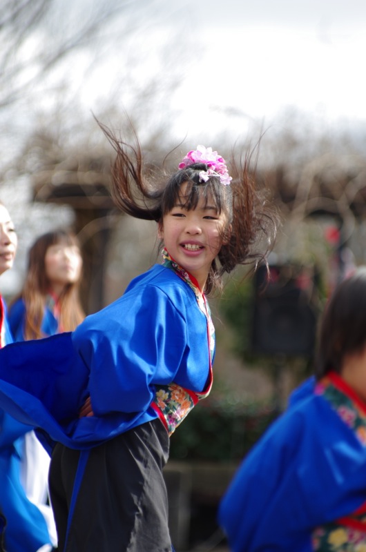 あったか加東冬のまつり２０１４その１２（踊る阿呆虎拍会）_a0009554_12224215.jpg