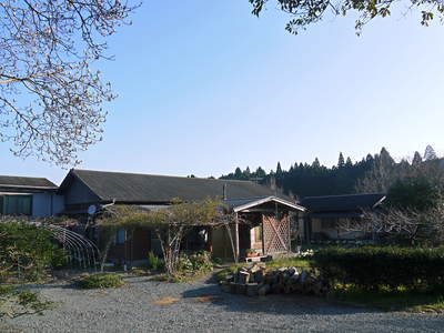 烏骨鶏 烏骨鶏の引っ越し(54羽の烏骨鶏が仲間入り)_a0254656_16582990.jpg