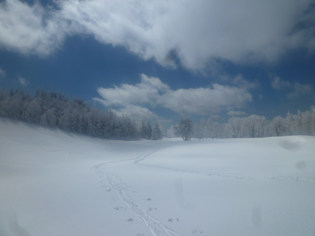 b0203758_18241.jpg