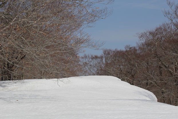 船形連峰　花染山_e0239458_09450095.jpg