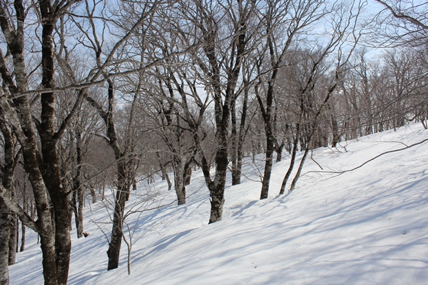 船形連峰　花染山_e0239458_09594801.jpg