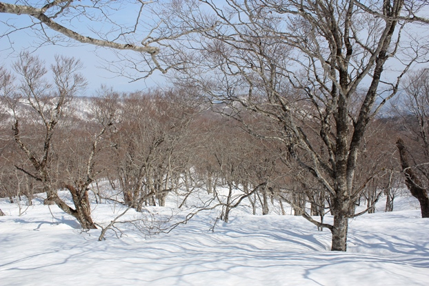 船形連峰　花染山_e0239458_09594813.jpg