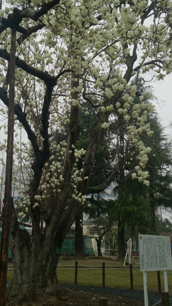 a0208560_16104445.jpg