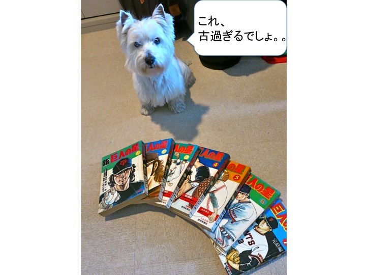 「新巨人の星」_c0260460_11463758.jpg