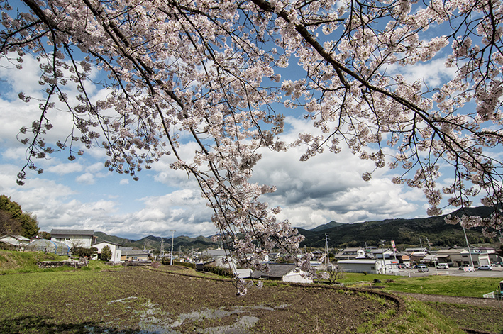 桜の咲いた山村の風景です_f0231460_22451215.jpg