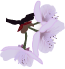 e0129862_15161669.gif