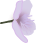e0129862_15451547.gif