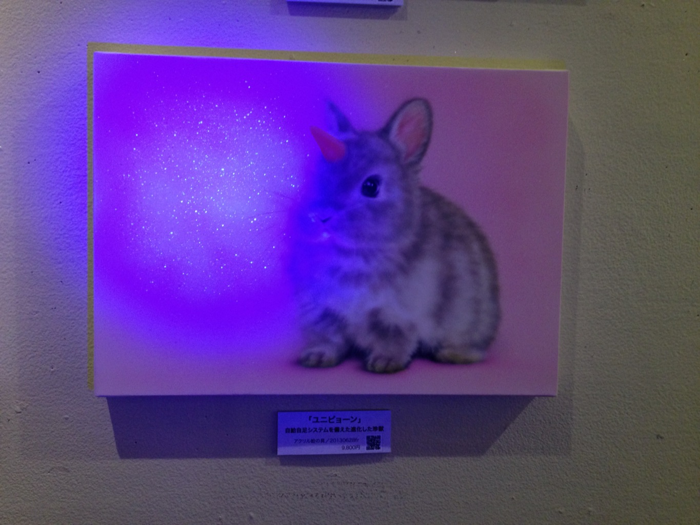 【出展】6/29〜7/7 七夕祭【atelier bemstar】_a0021565_19173242.jpg