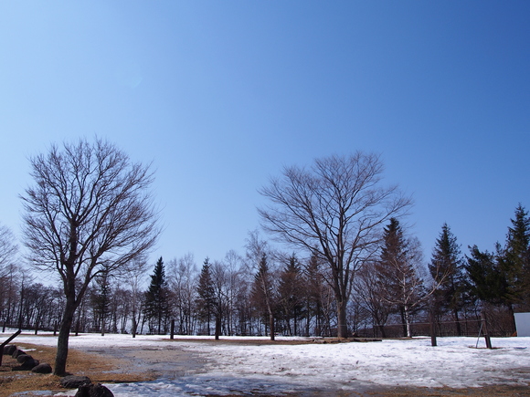 b0194267_14432084.jpg