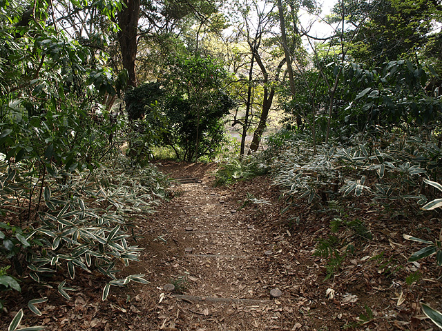 小石川植物園 （3/29）_b0006870_10234122.jpg