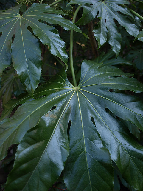 b0006870_22592695.jpg