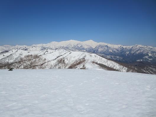 大日ヶ岳　　ひるがのルート_f0302771_1458910.jpg