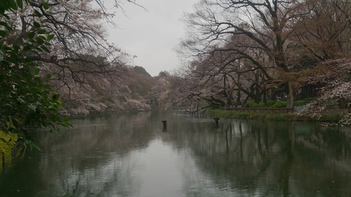e0212073_10495432.jpg