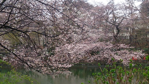e0212073_1057136.jpg