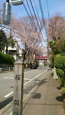 桜坂と田園調布のランチカフェ 緑のかたつむり 桜坂と田園調布のランチカフェ 緑のかたつむり