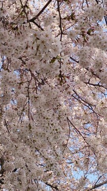 a0275676_20453877.jpg