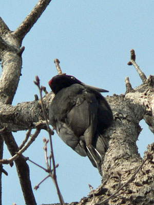 f0083977_1547023.jpg