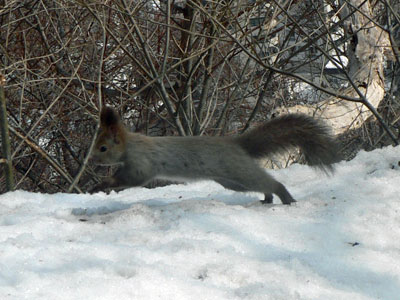 f0083977_1550880.jpg