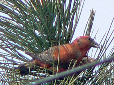 f0083977_15514230.jpg
