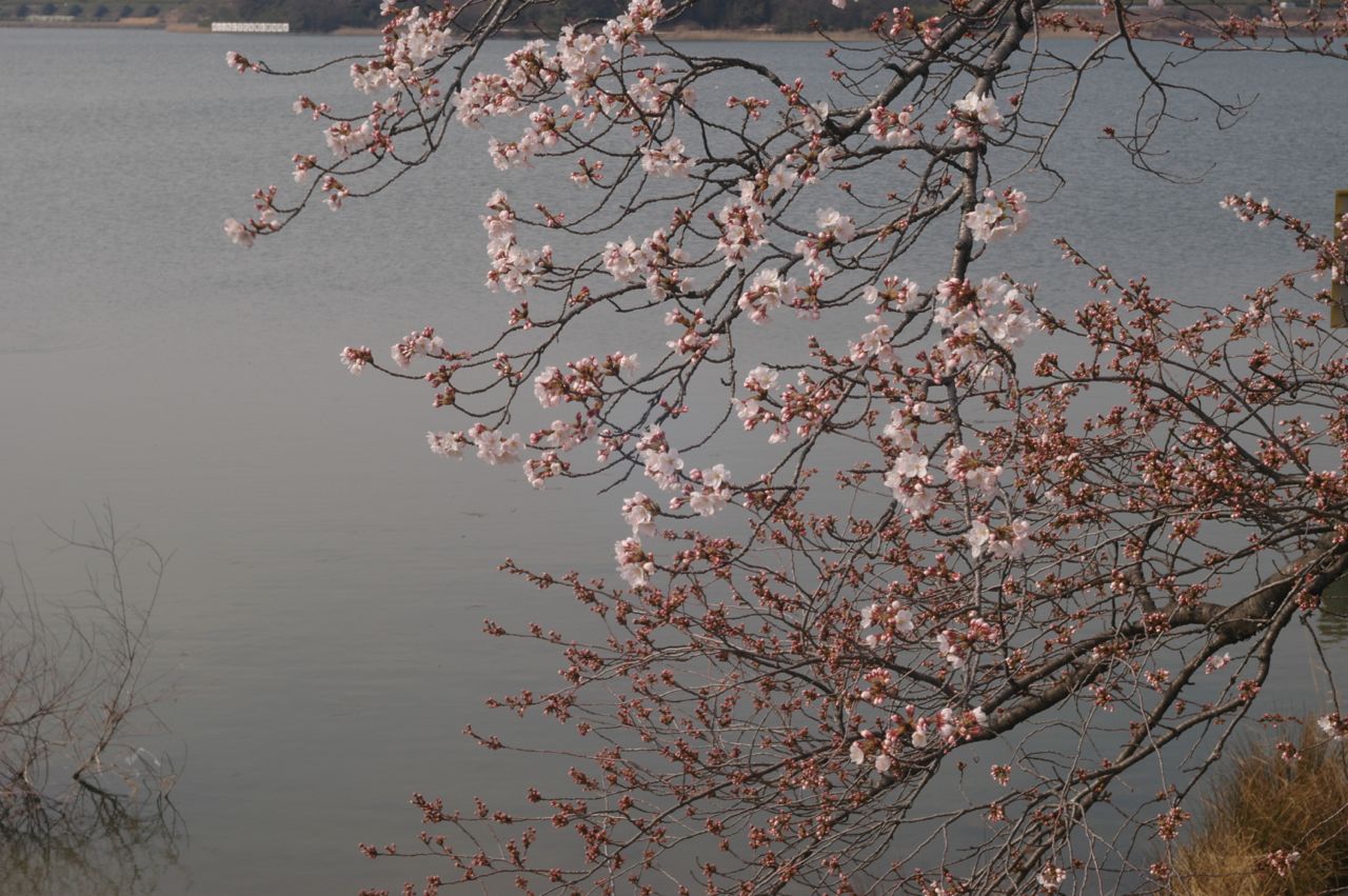f0124378_071894.jpg