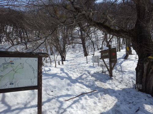 雪の鍋割山（赤城山）へ。_a0094280_17363769.jpg