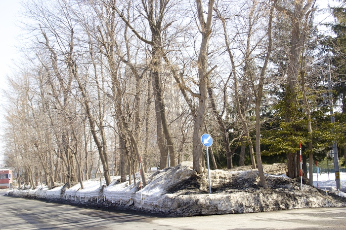 e0068480_14314561.jpg