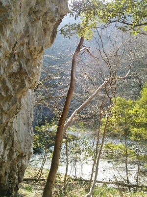 f0223480_9104831.jpg