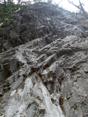 f0223480_913414.jpg