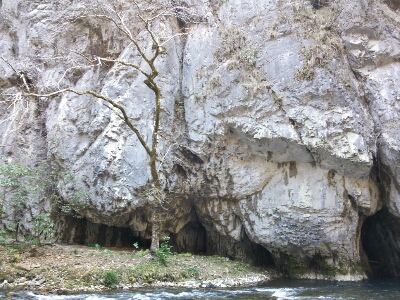 f0223480_935563.jpg