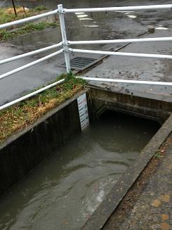 暴風・大雨警報が発令されました_d0261484_2224169.jpg