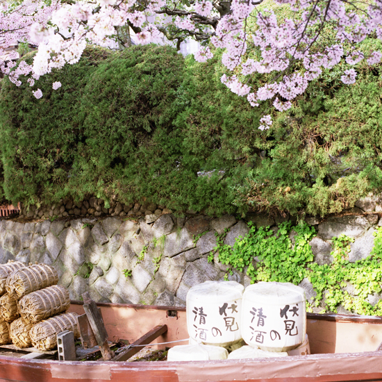 京都の桜に思いをはせる　~高瀬川一之船入_c0160185_207364.jpg