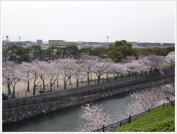 ♪♪さくら♪♪とお花見_b0175688_2147362.jpg