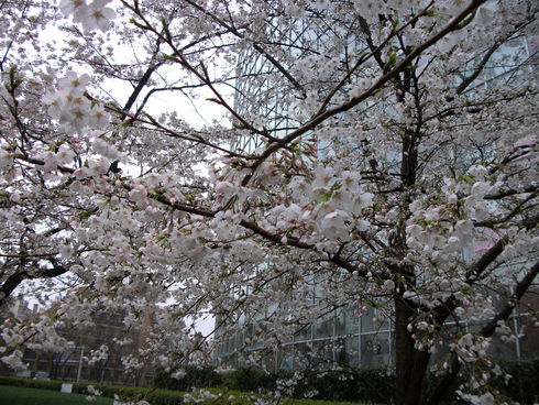 d0099791_22553514.jpg