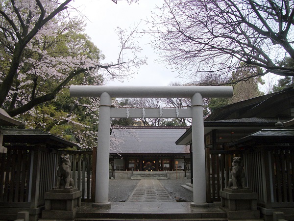 d0099791_2351070.jpg