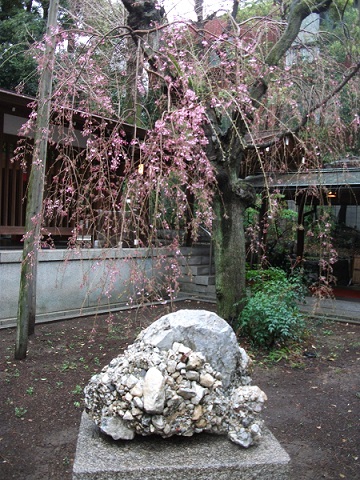 d0099791_2363085.jpg