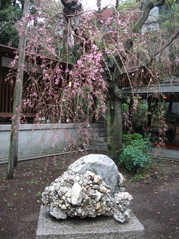 ２０１４・桜Week2(美術展＆六本木ヒルズ毛利庭園他）_d0099791_2363085.jpg