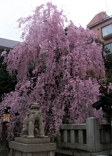 d0099791_2384041.jpg