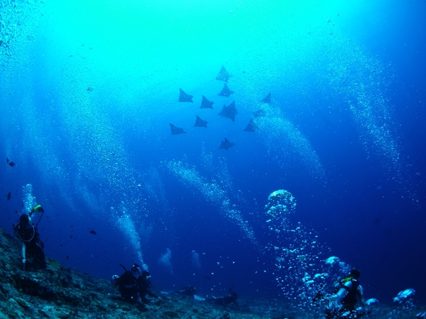 c0097095_16391783.jpg