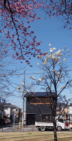 c0039501_1521261.jpg