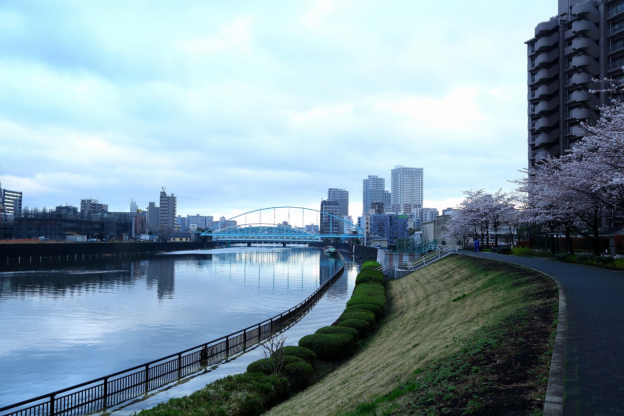 冠水というほどではありませんが、隅田川の増水で遊歩道が水浸し_b0291402_16141170.jpg