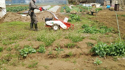 e0270403_1114543.jpg