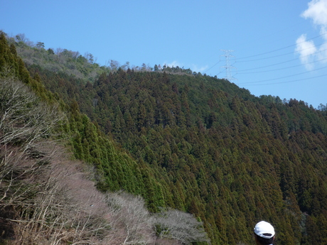 f0250403_1783615.jpg
