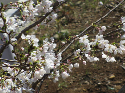 c0212604_22201329.jpg
